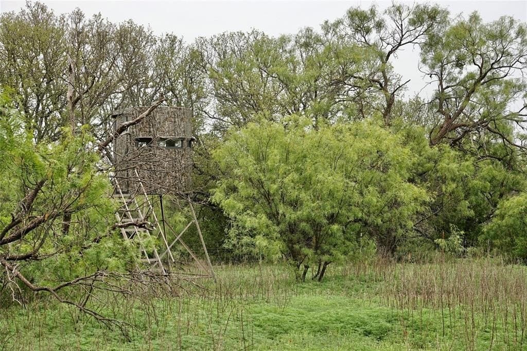 249.51 acres in Mills County - photo 20