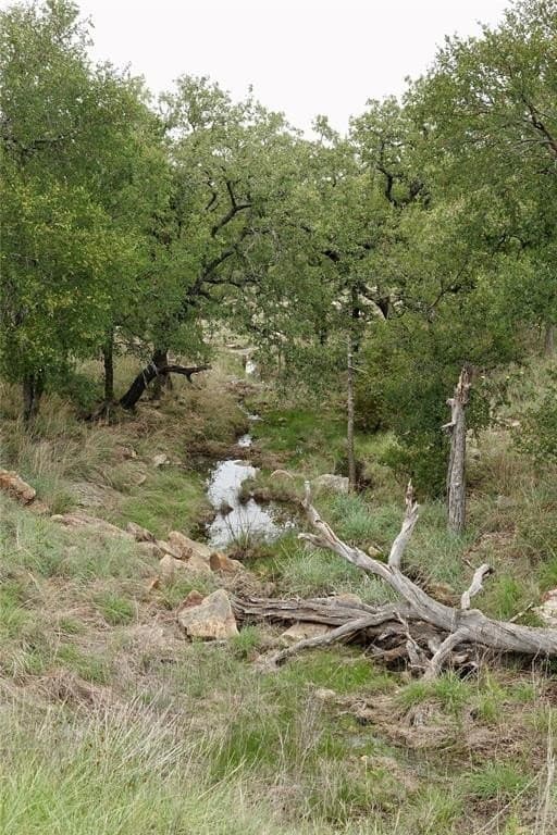 249.51 acres in Mills County - photo 22