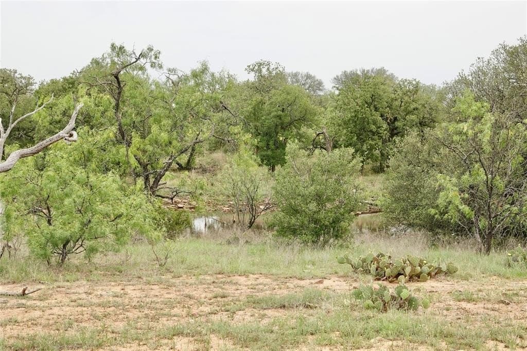 249.51 acres in Mills County - photo 28