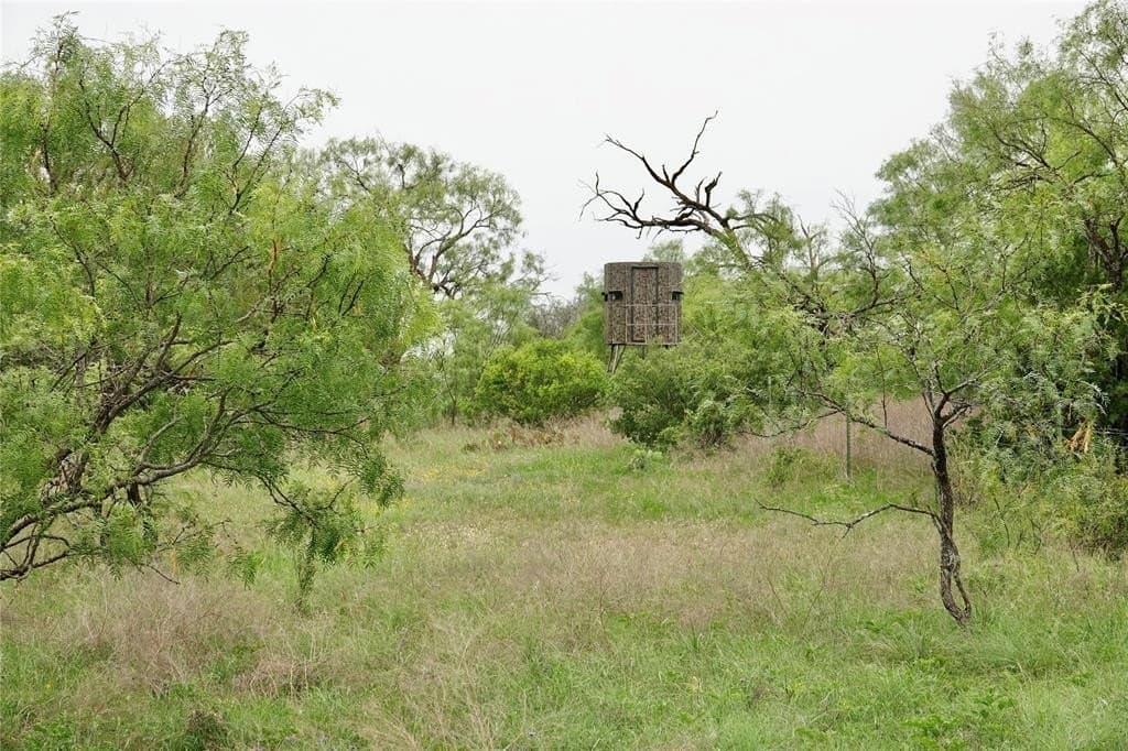 249.51 acres in Mills County - photo 19