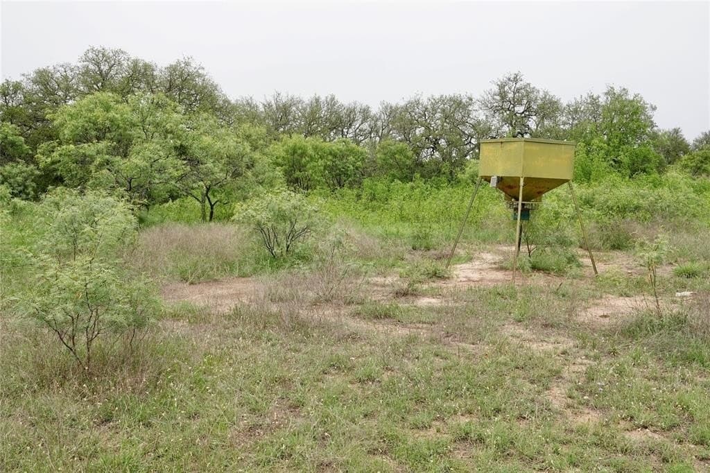 249.51 acres in Mills County - photo 24