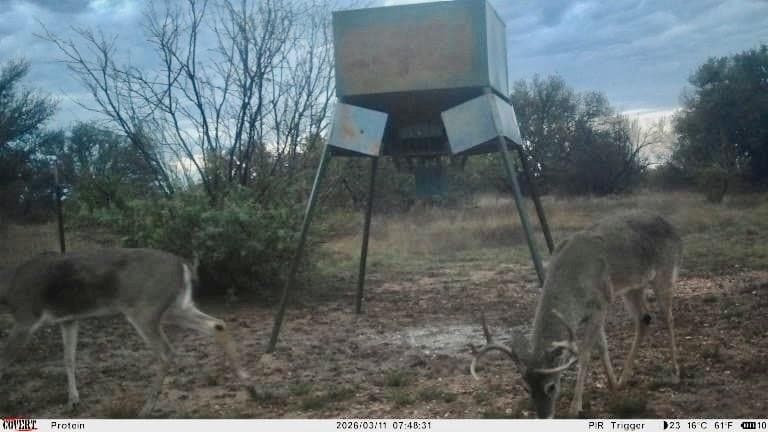 249.51 acres in Mills County - photo 5