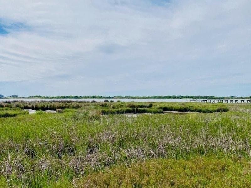 0.93 acres in Texas County - photo 4