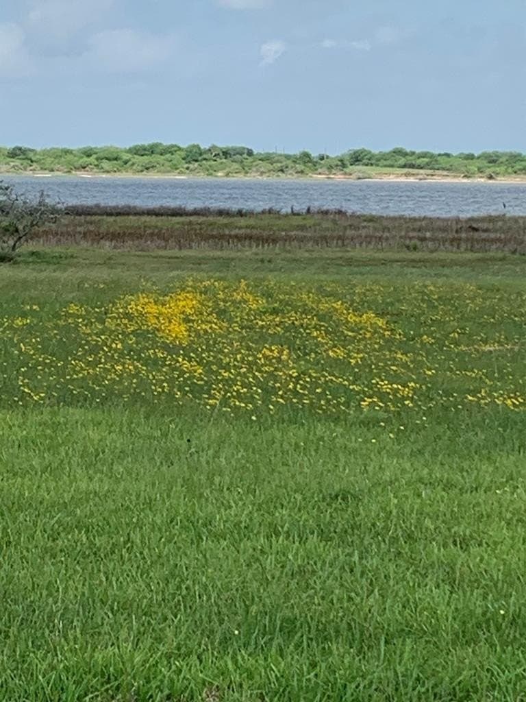 0.93 acres in Texas County - photo 2
