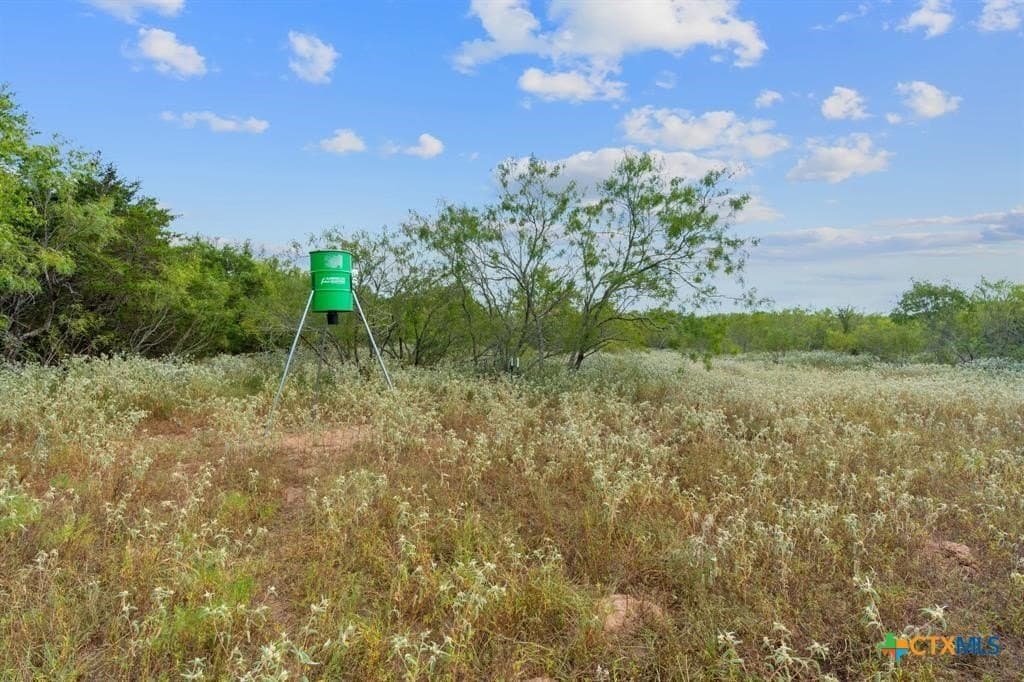 74 acres in Caldwell County - photo 8