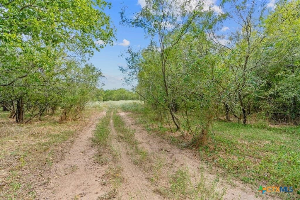 74 acres in Caldwell County - photo 7