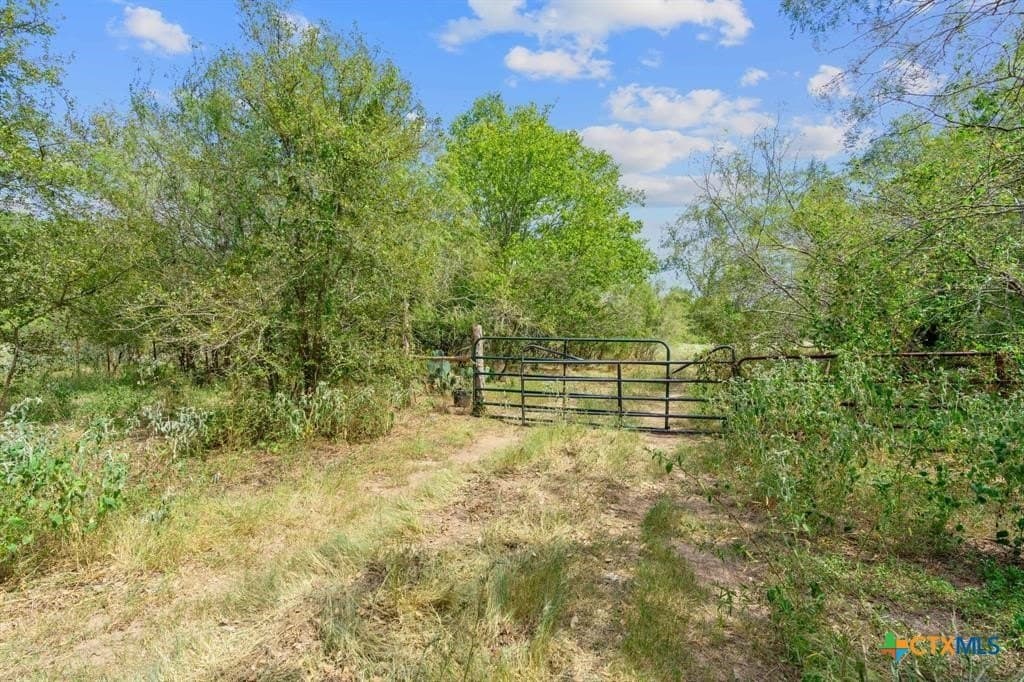 74 acres in Caldwell County - photo 9