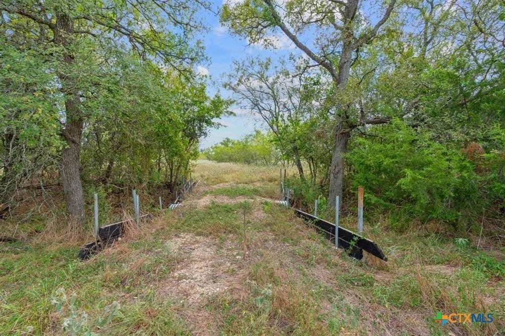74 acres in Caldwell County - photo 10