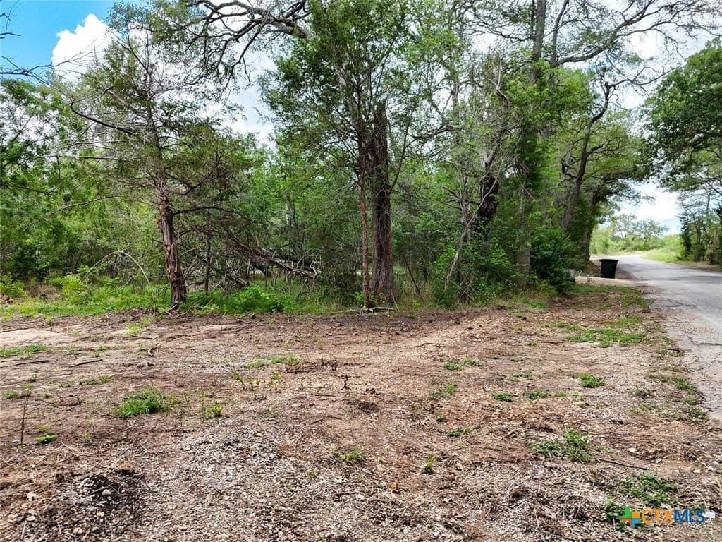 74 acres in Caldwell County - photo 3