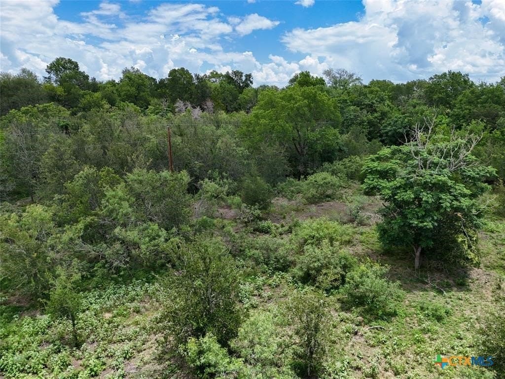 74 acres in Caldwell County - photo 14