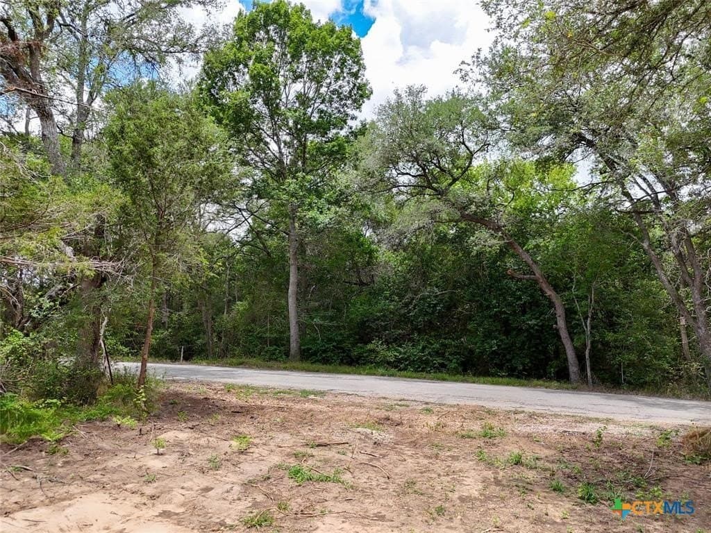 74 acres in Caldwell County - photo 5