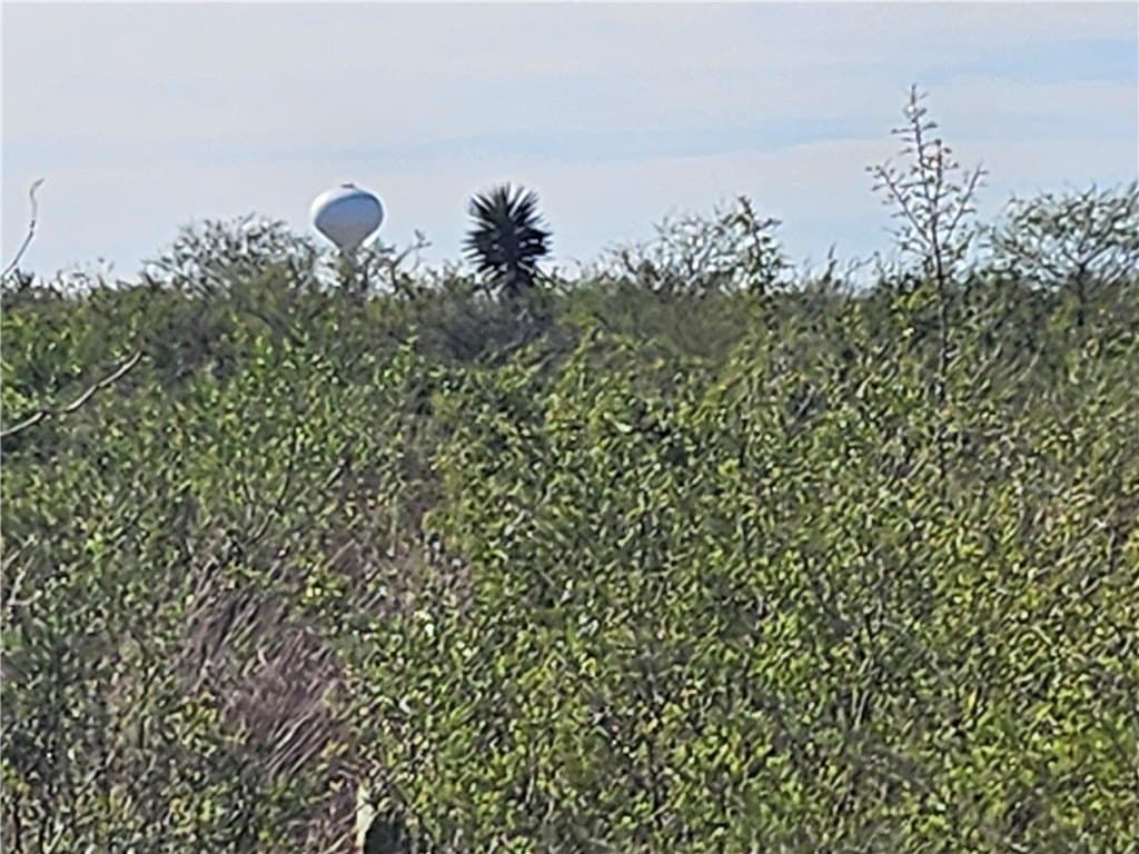 0.99 acres in Jim Wells County - photo 2