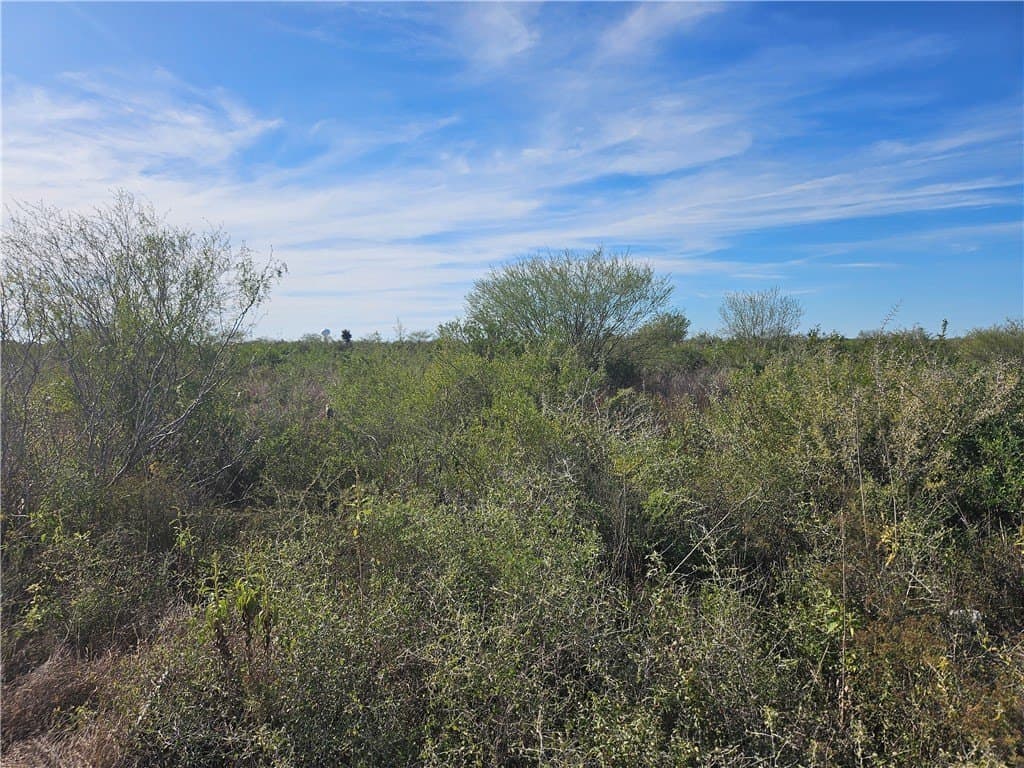11 County Road 1431 lot: 11