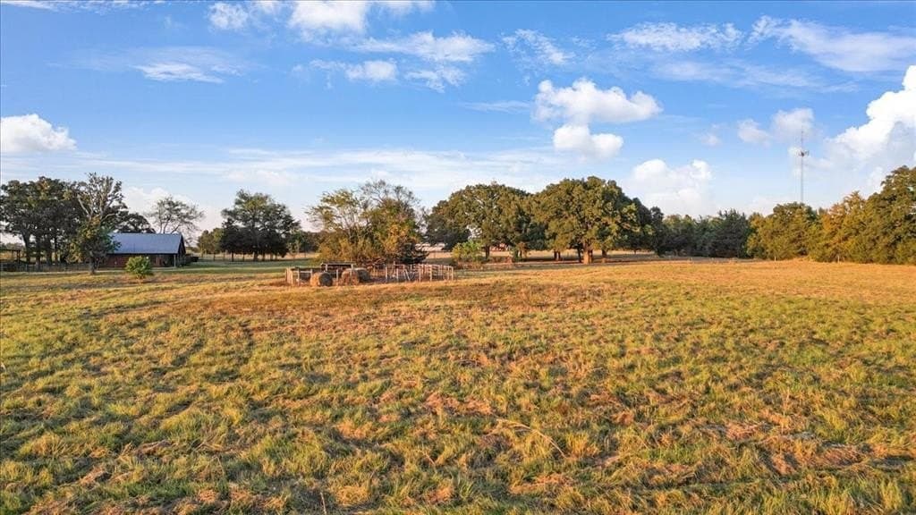 28.03 acres in Wood County - photo 29