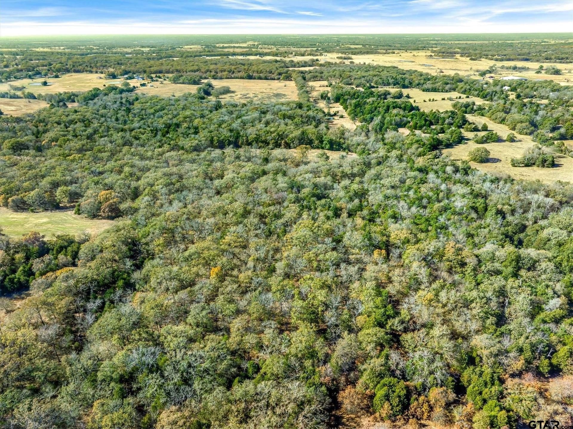 30 acres in Van Zandt County - photo 13