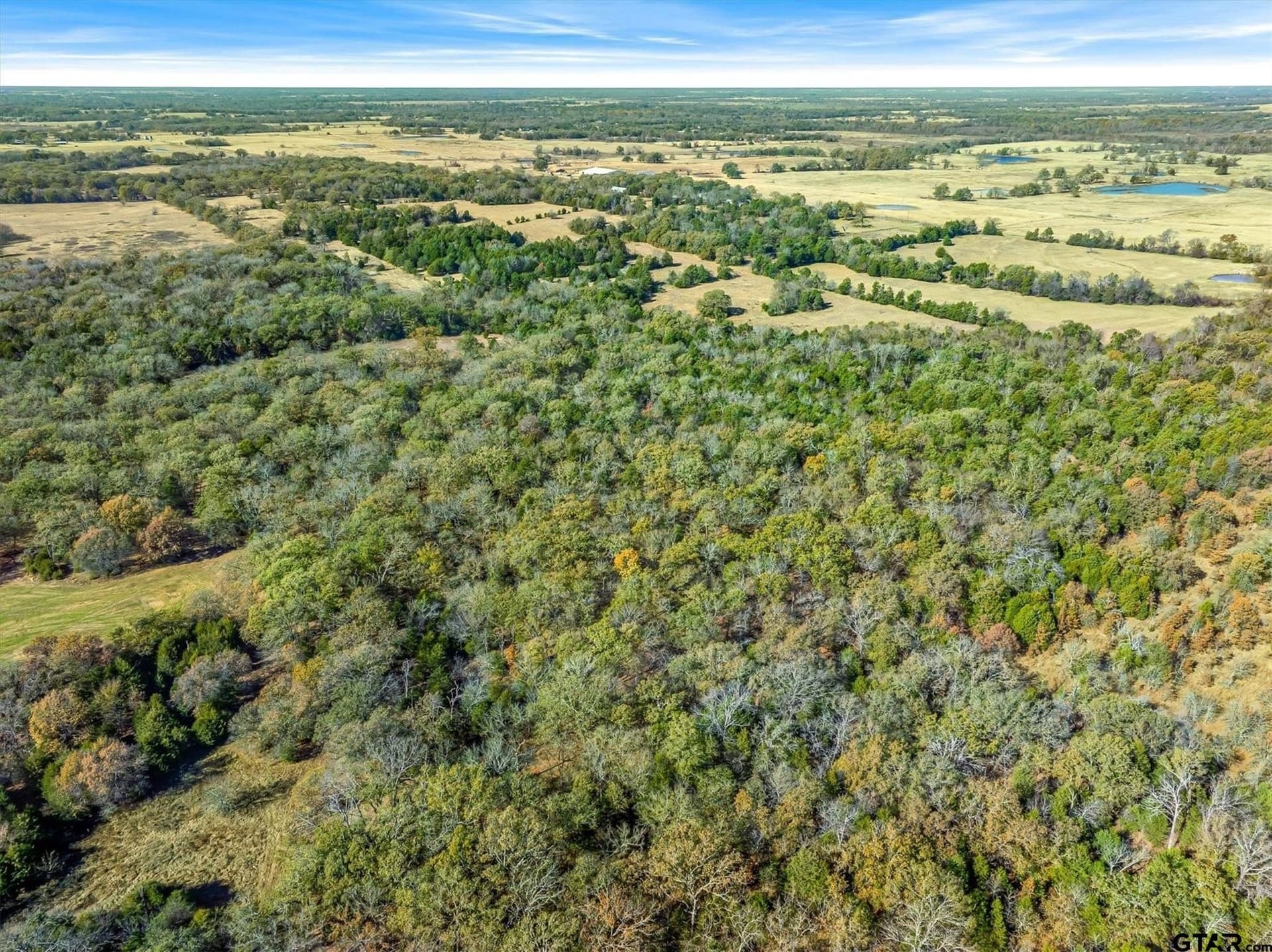 30 acres in Van Zandt County - photo 11