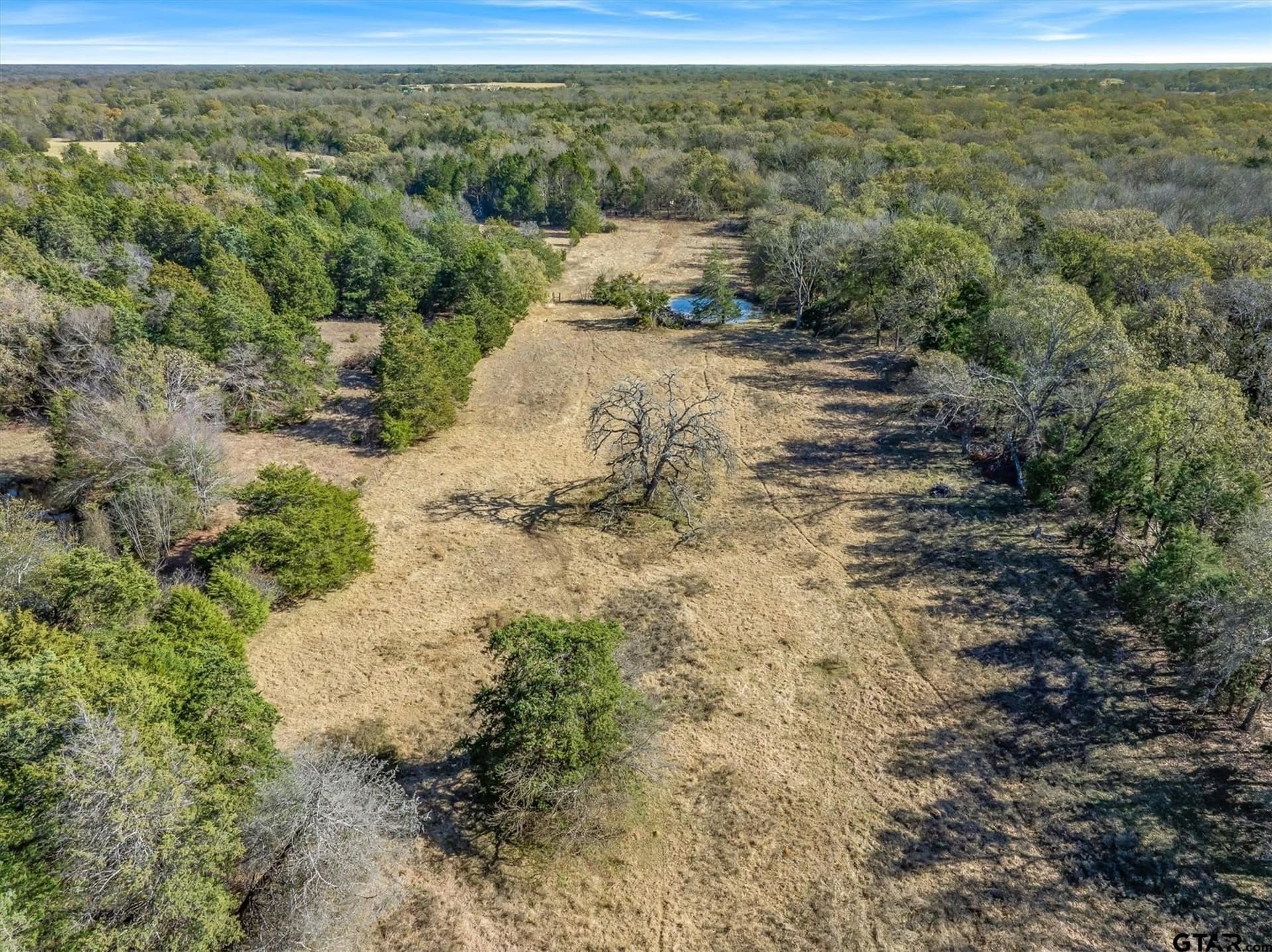 30 acres in Van Zandt County - photo 7