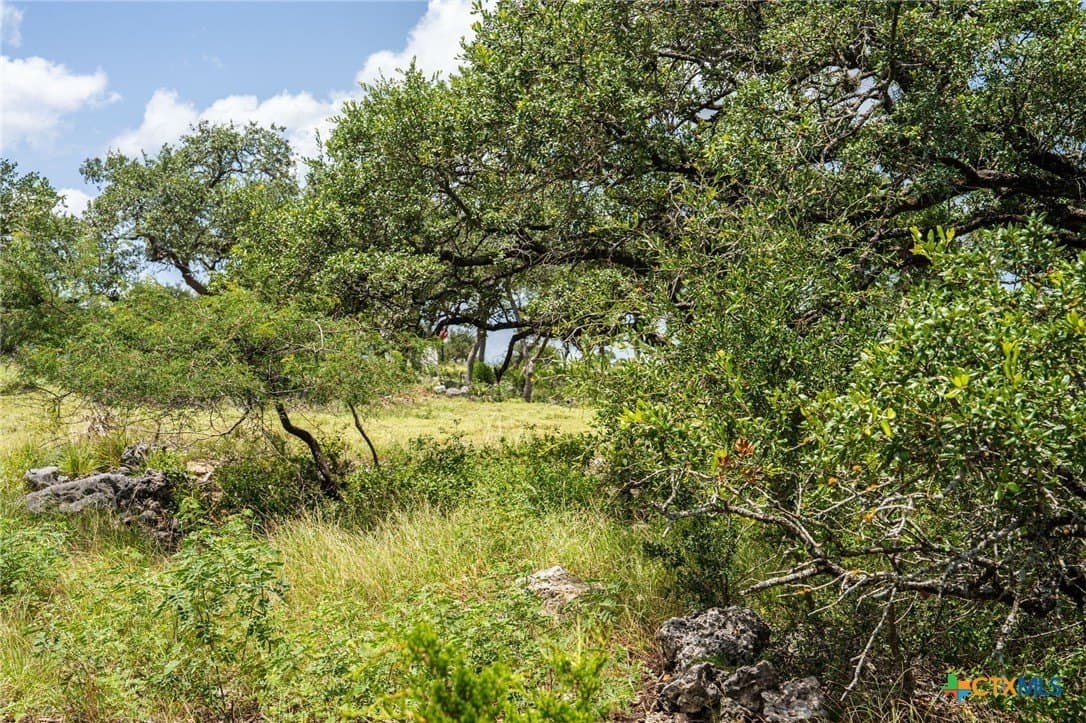 3.07 acres in Comal County - photo 17