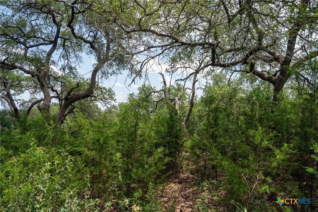 3.07 acres in Comal County - photo 19