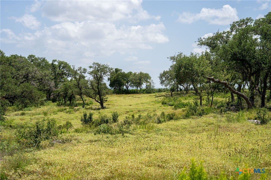 3.07 acres in Comal County - photo 28