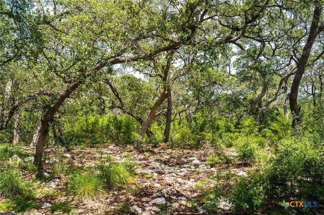 3.07 acres in Comal County - photo 27