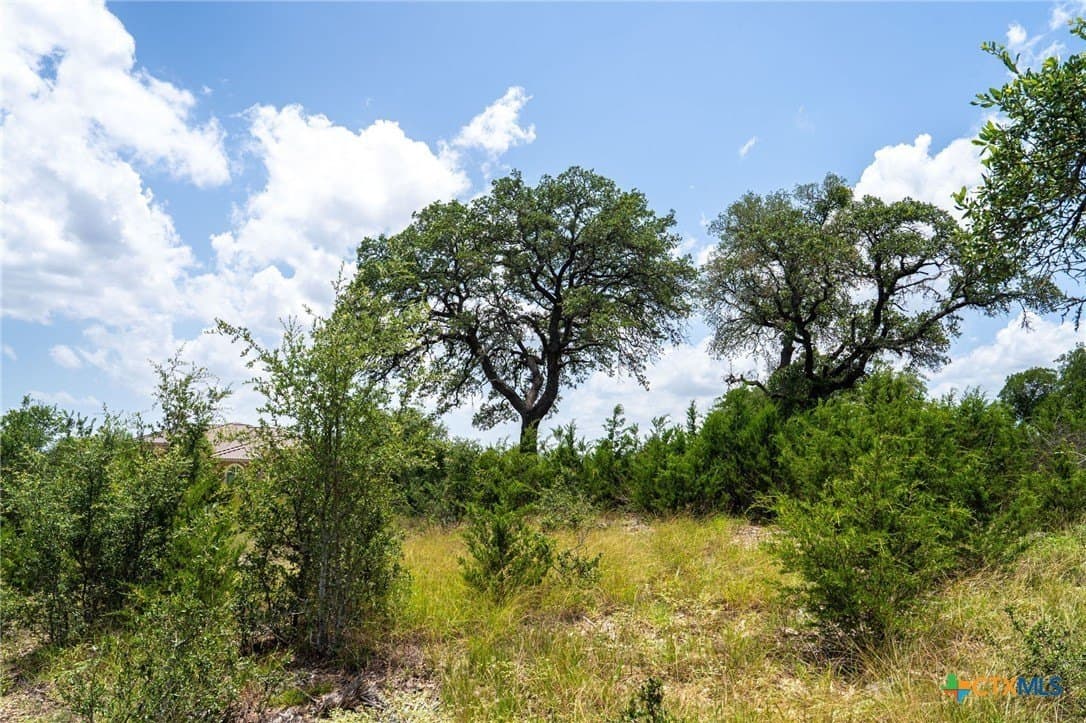 3.07 acres in Comal County - photo 20