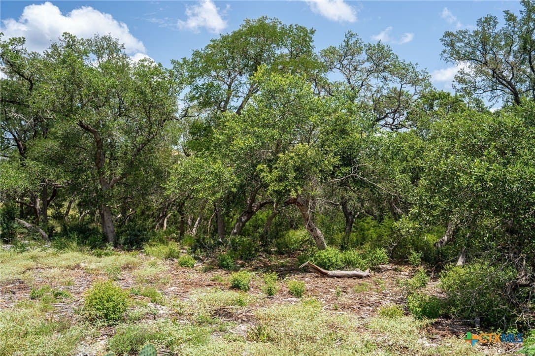 3.07 acres in Comal County - photo 26
