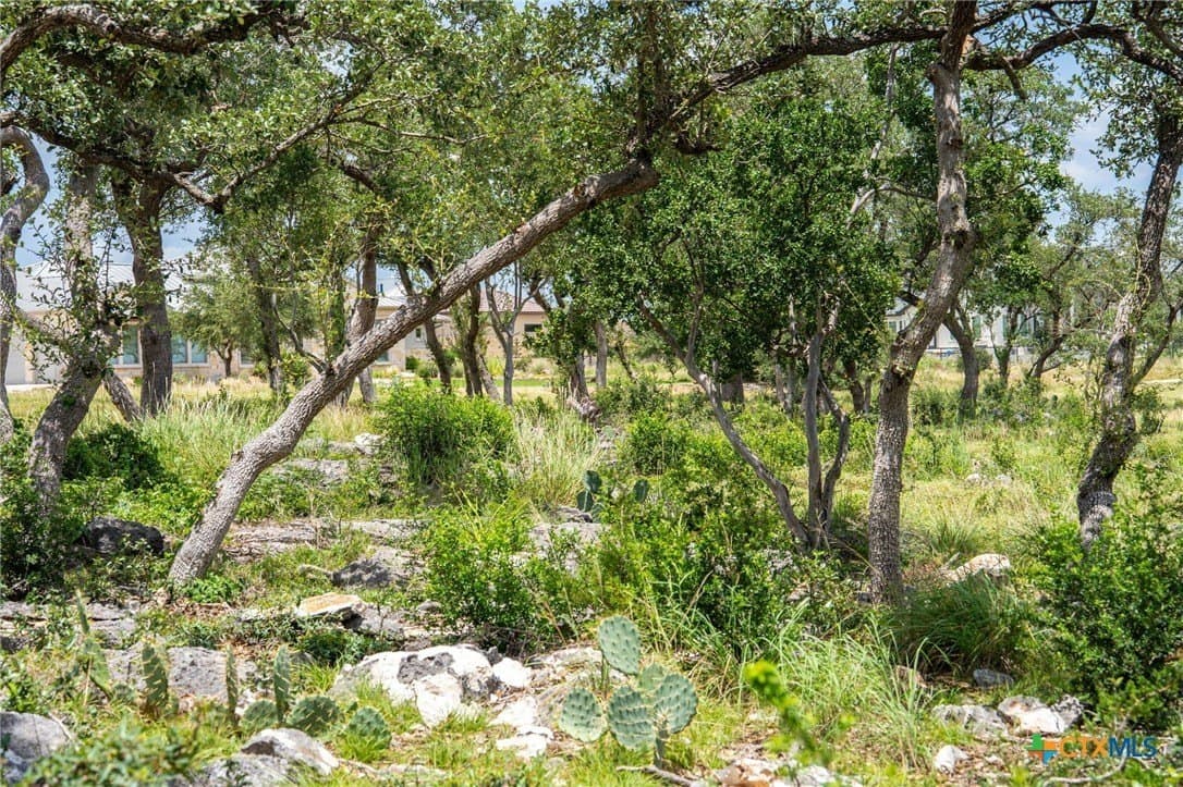 3.07 acres in Comal County - photo 23