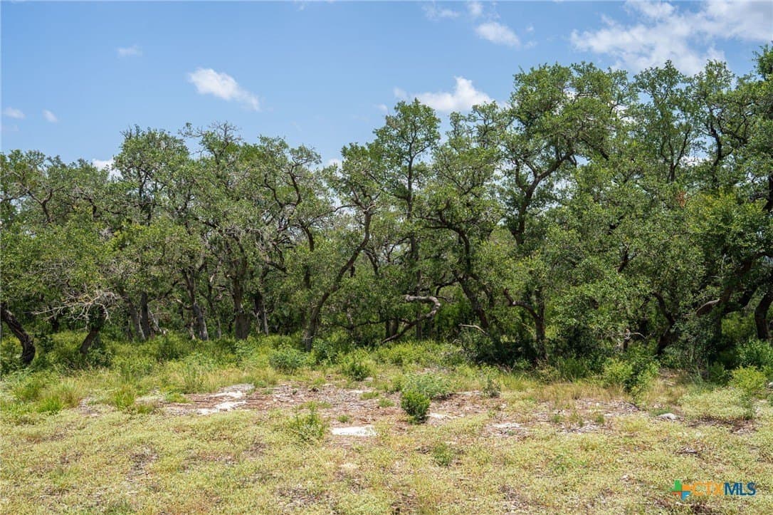 3.07 acres in Comal County - photo 24