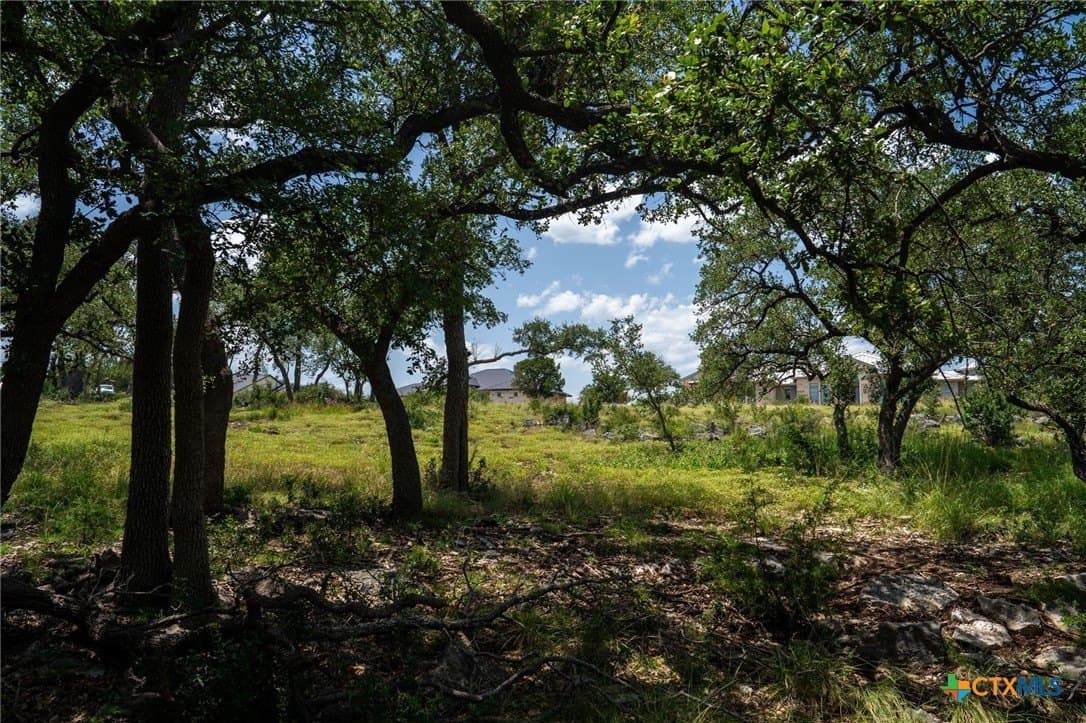 3.07 acres in Comal County - photo 31