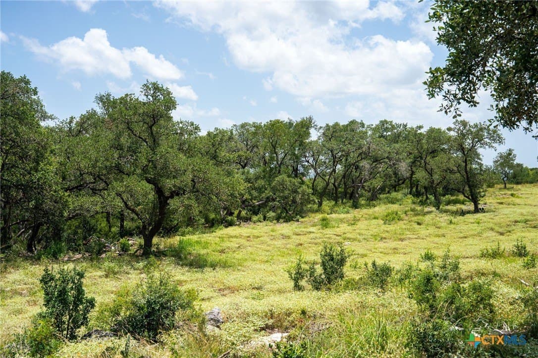 3.07 acres in Comal County - photo 11