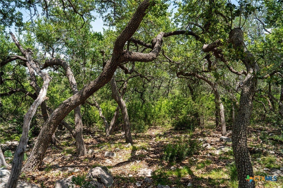 3.07 acres in Comal County - photo 30