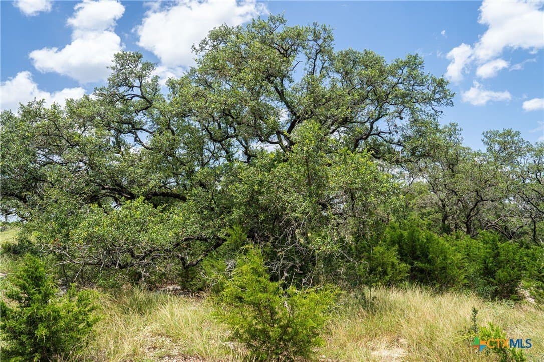 3.07 acres in Comal County - photo 16