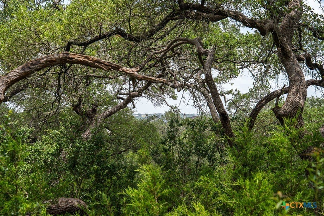 3.07 acres in Comal County - photo 18