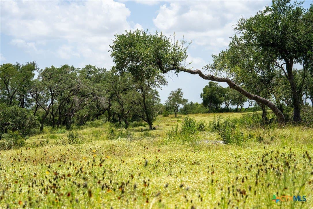 3.07 acres in Comal County - photo 9
