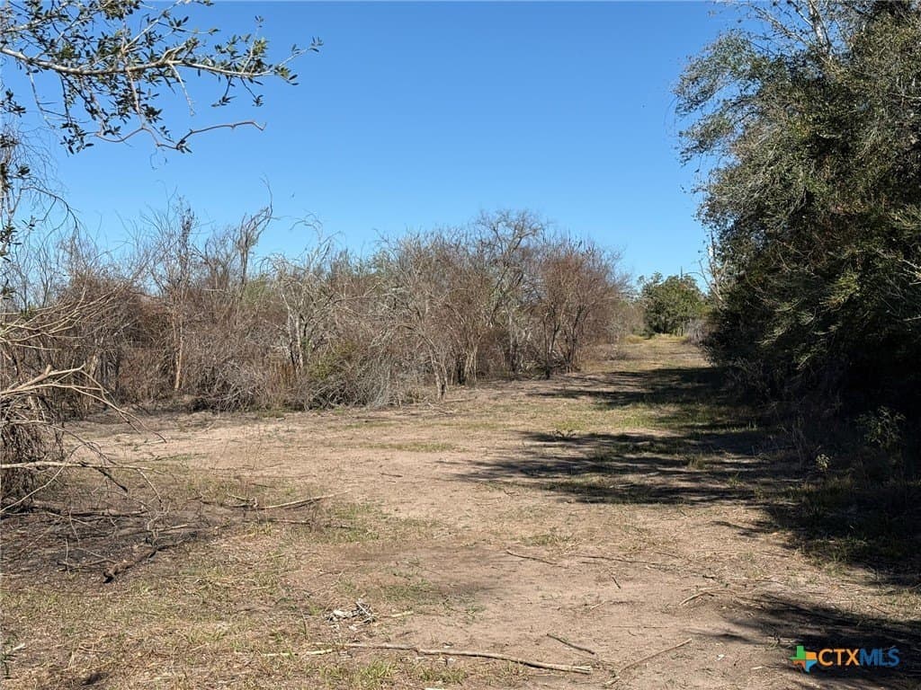 17.61 acres in Victoria County - photo 7