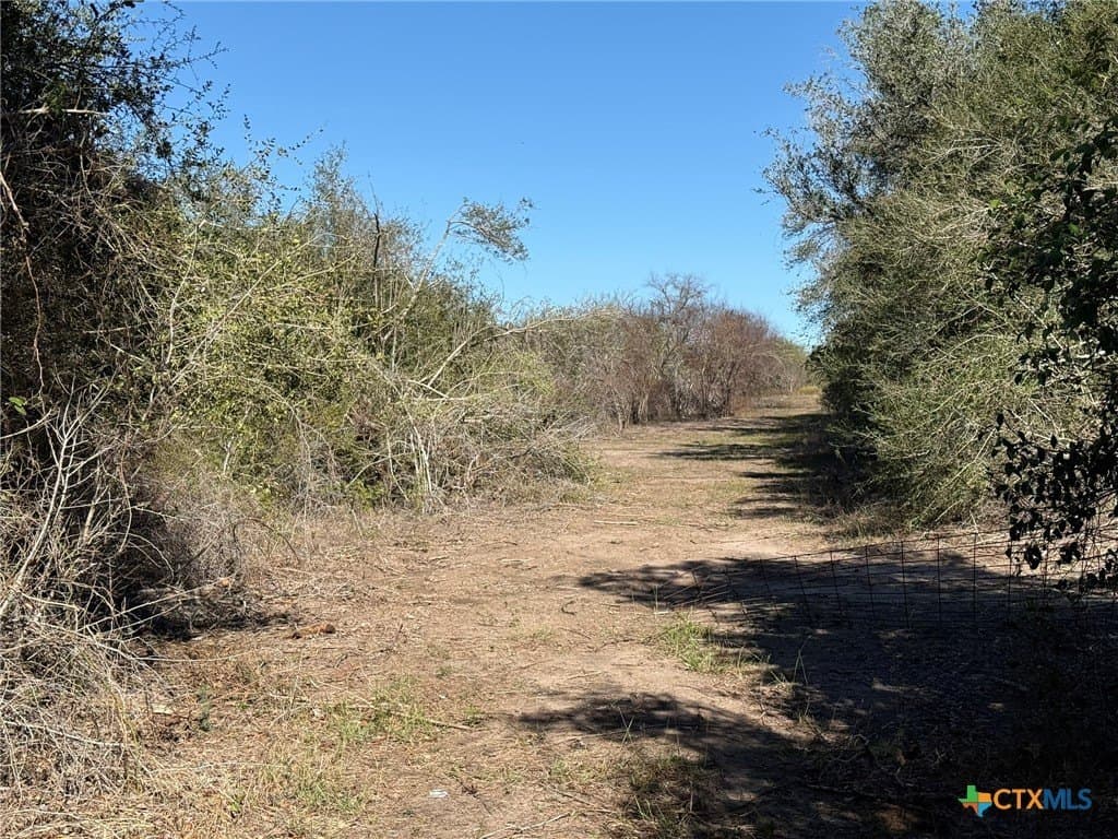 17.61 acres in Victoria County - photo 11