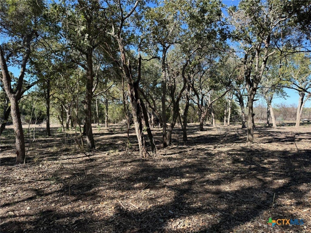 17.61 acres in Victoria County - photo 4