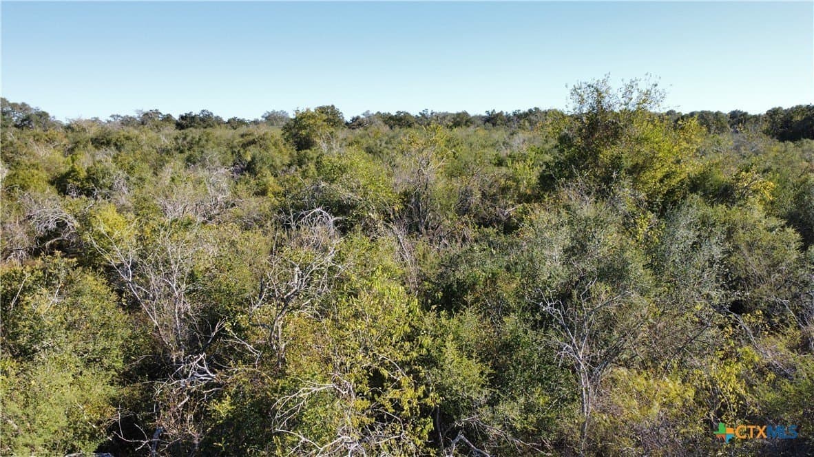 17.61 acres in Victoria County - photo 13