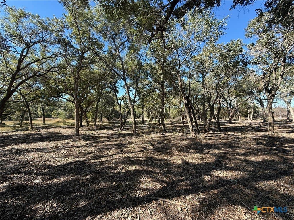 17.61 acres in Victoria County - photo 3