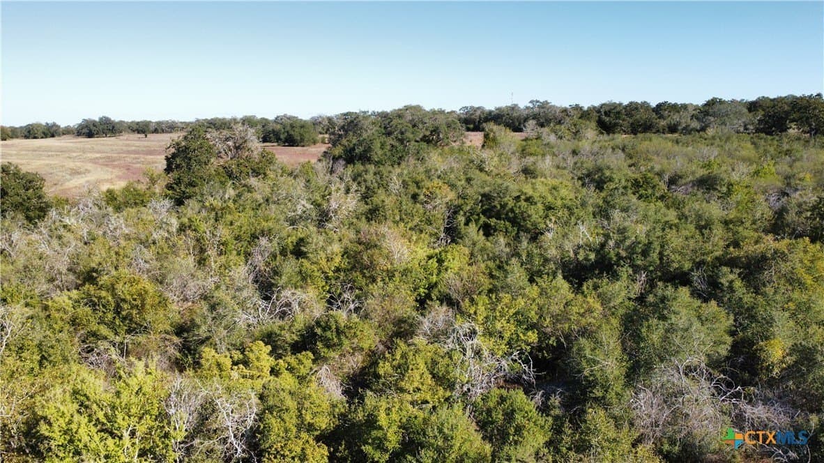 17.61 acres in Victoria County - photo 14