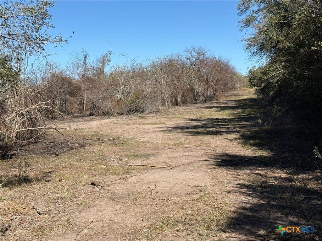 17.61 acres in Victoria County - photo 6