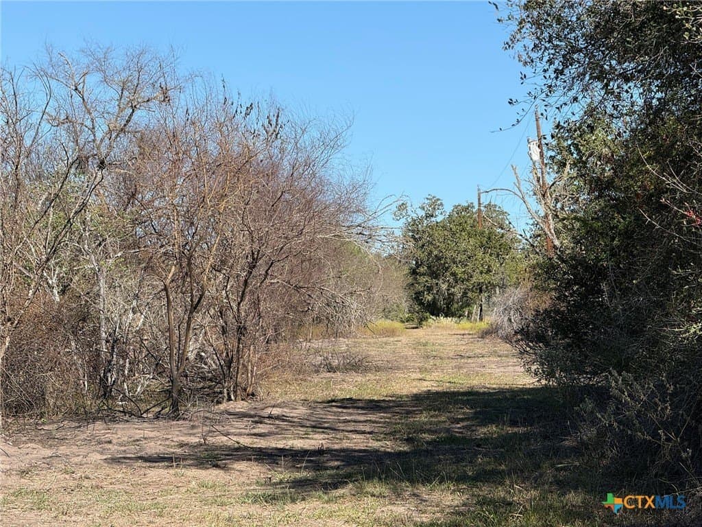17.61 acres in Victoria County - photo 8