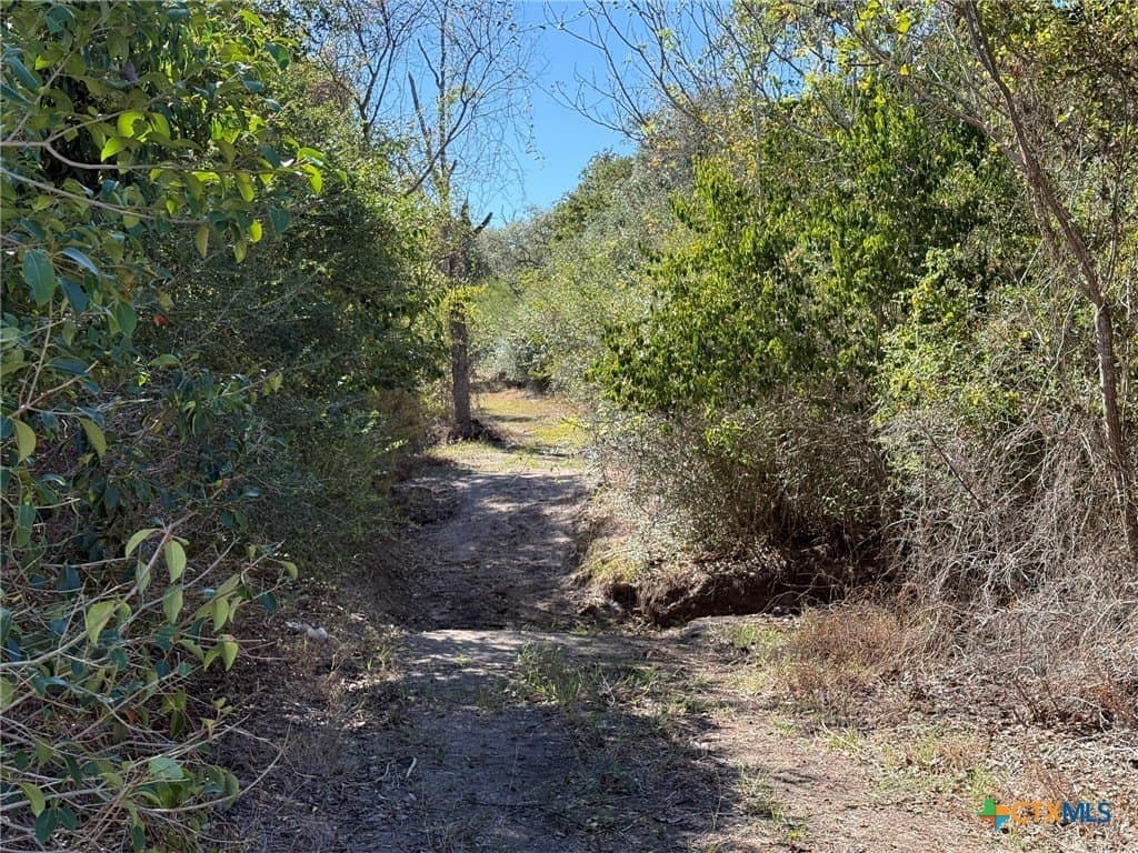 17.61 acres in Victoria County - photo 9
