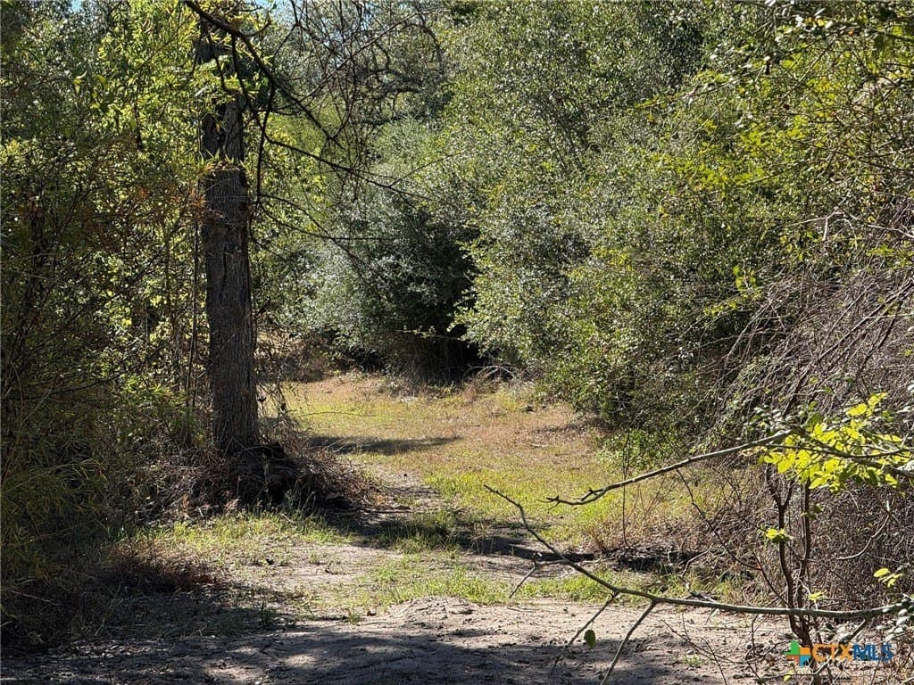 17.61 acres in Victoria County - photo 10