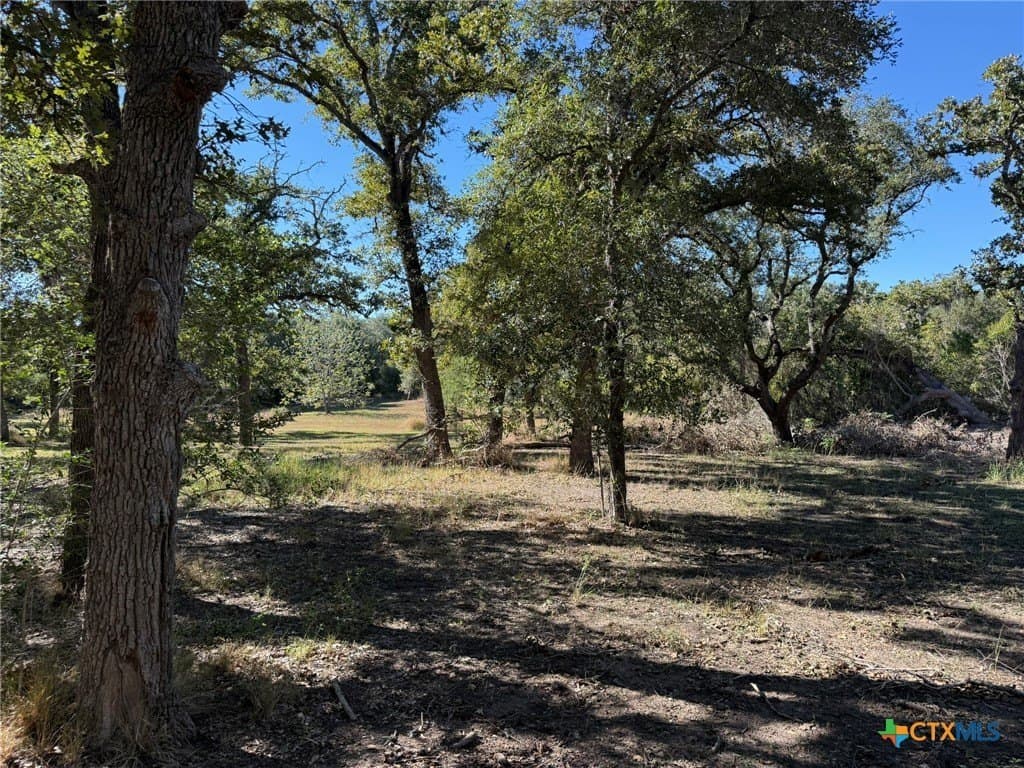 17.61 acres in Victoria County - photo 5