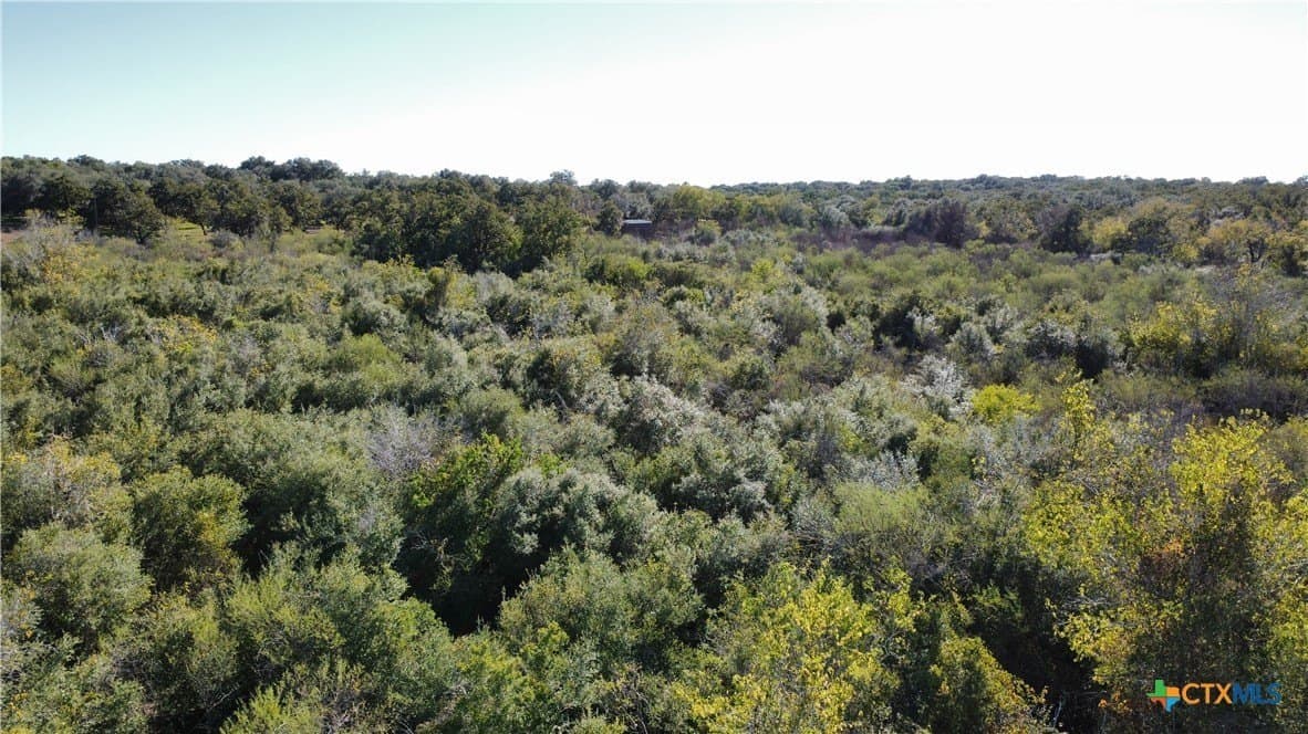 17.61 acres in Victoria County - photo 15
