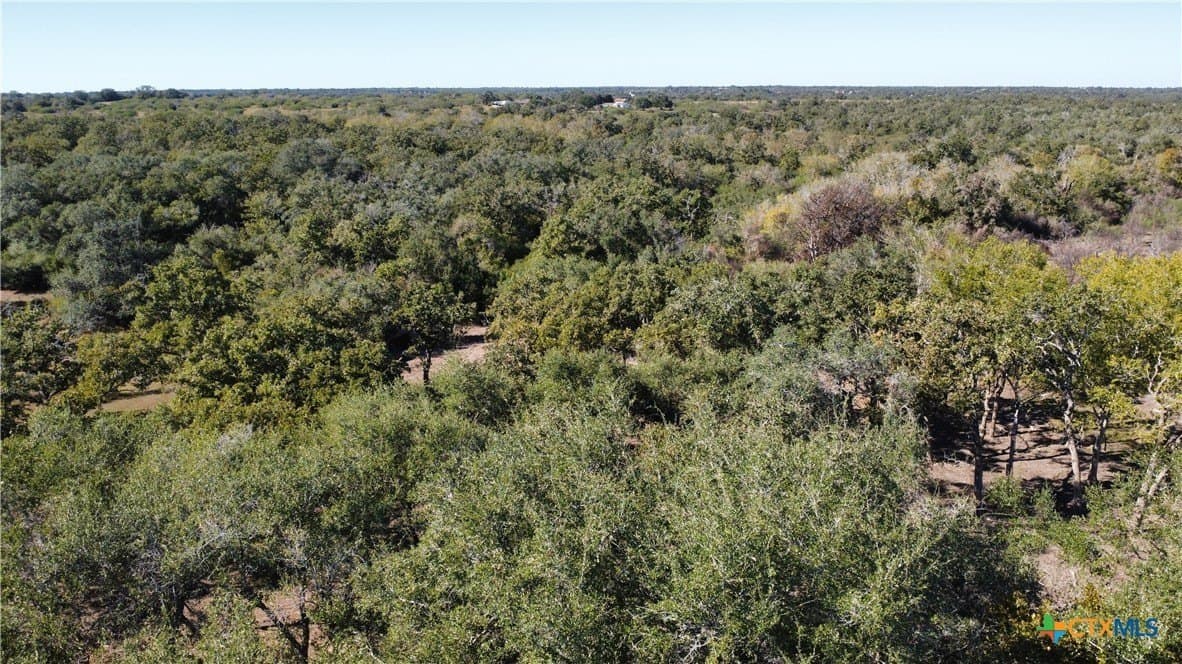 17.61 acres in Victoria County - photo 12
