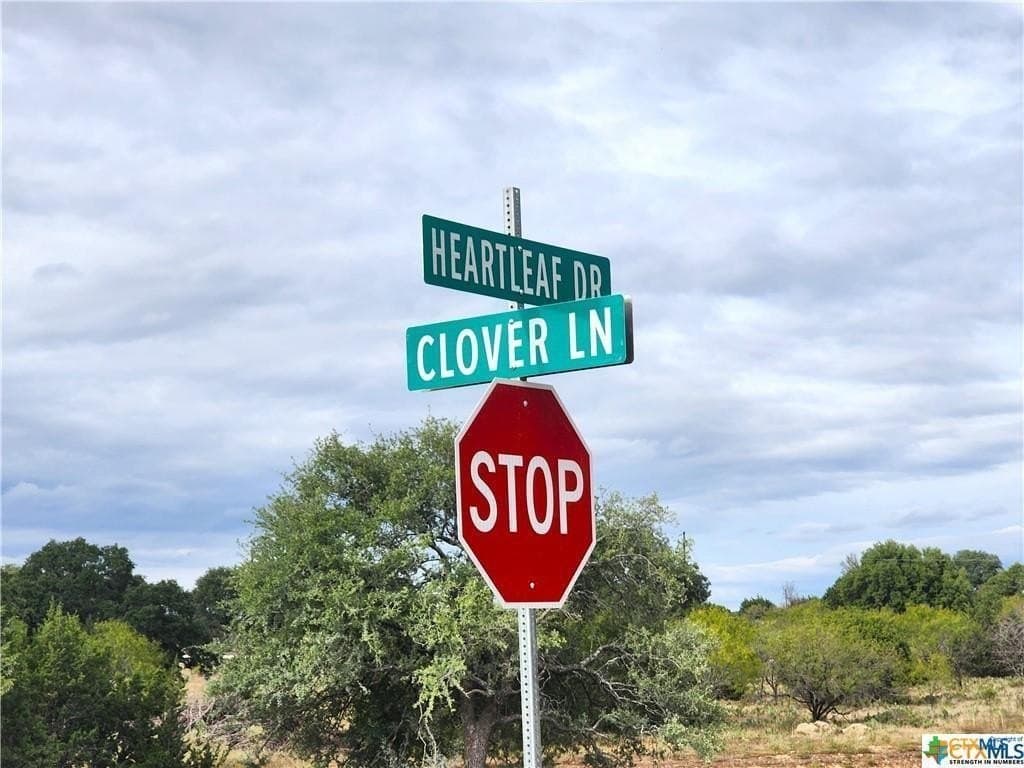 6.34 acres in Burnet County - photo 4