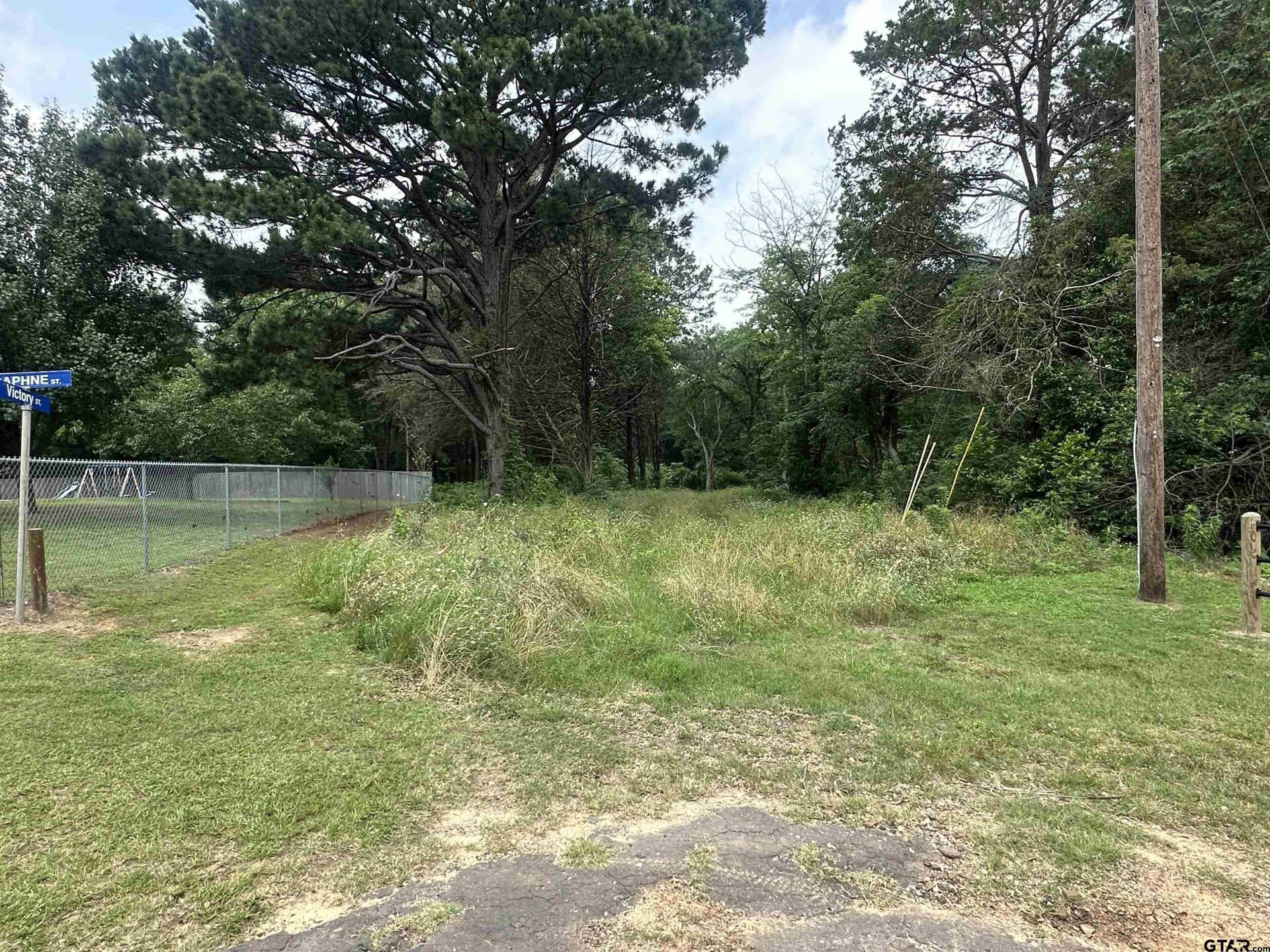21.7 acres in Camp County - photo 4